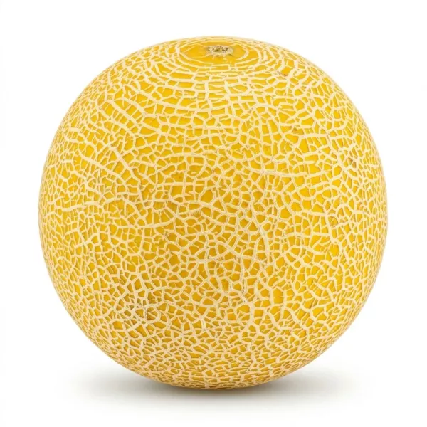 Enhanced A hand holding a whole fresh cantaloupe melon with netted yellow skin and a price label showing £2.99