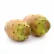 Enjoy the unique and sweet flavour of Fresh Prickly Pears. This exotic fruit is perfect for snacking, juicing, or adding to desserts. Available at halalo.co.uk