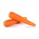 Fresh Carrots are a crunchy and versatile vegetable, packed with vitamins and nutrients. Enjoy them raw as a snack, in salads, or cooked in your favourite dishes. Available at halalo.co.uk