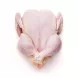 Fresh Halal Tandoori Chicken | halalo.co.uk