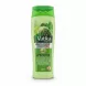 Vatika Naturals Wild Cactus Multivitamin Shampoo bottle front view