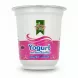 Anjoman Yogurt cup with wild garlic flavour front view