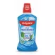 Colgate Plax Fresh & Protect mouthwash bottle front showing blue liquid and cool mint label