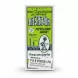 Box of Sat-Isabgol Psyllium Husk front view with green and white design