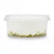 Side view of Tak brand white ice cream tub showing pistachio bits settled at the base inside a clear container