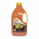 Bottle of Regal Finest Pink Guava Drink front label