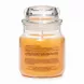 Back label of Yankee Candle Exotic Fruits with ingredient and allergy details