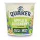 Quaker apple and blueberry flavoured porridge cup front view