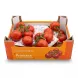 Enhanced Box of BelOrta Princess vine tomatoes on artificial grass in a market display