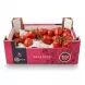 Enhanced Side view of BelOrta Ruby Red plum tomatoes in pink box