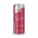A 250ml can of Red Bull The Peach Edition White Peach energy drink, featuring its distinctive pink and silver design, is centered against a clean white background with a soft, even shadow.
