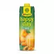 Enhanced Front of Rauch Happy Day Marille Apricot Juice 1L carton in hand