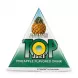 Enhanced Hand holding Top Juice pineapple flavoured drink in triangle Tetra Pak