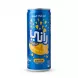 Front view of Rani Float Mango Drink can with Arabic text