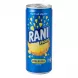 Front view of Rani Float Pineapple fruit drink can showing branding and pineapple chunks